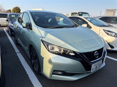 2018 Nissan Leaf - Thumbnail