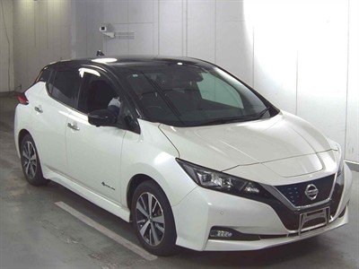 2021 Nissan Leaf - Thumbnail