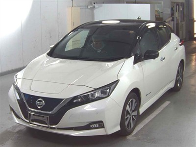 2021 Nissan Leaf - Thumbnail